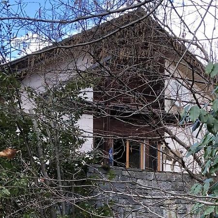 Gemuetliche Ferienwohnung Mit Garten Biasca Eksteriør bilde